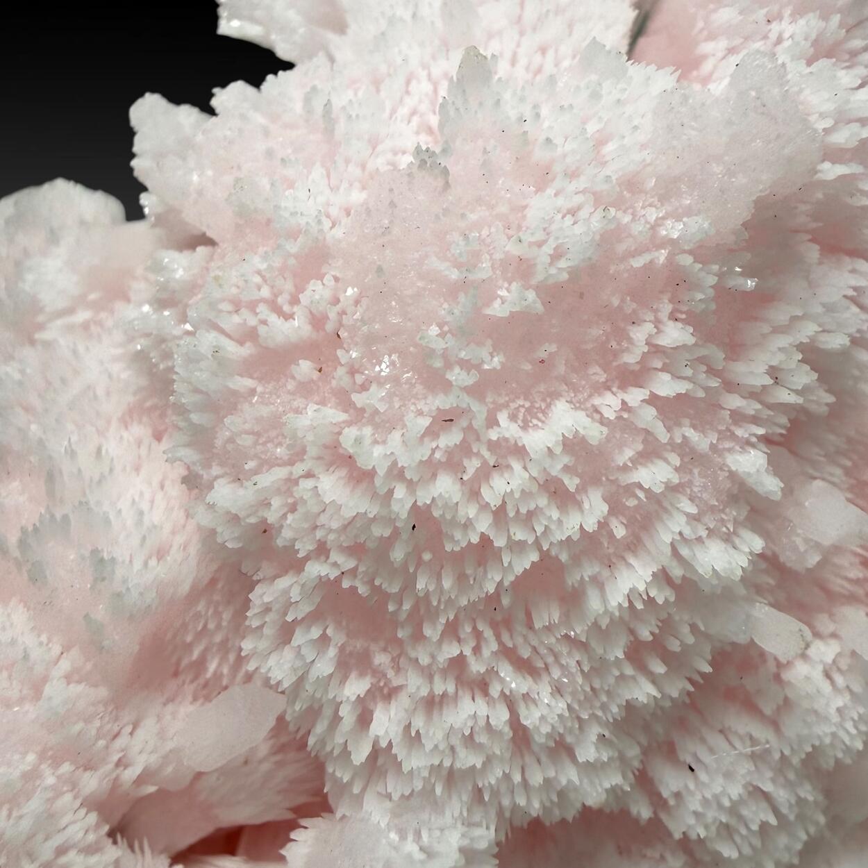 Manganoan Calcite With Kutnohorite