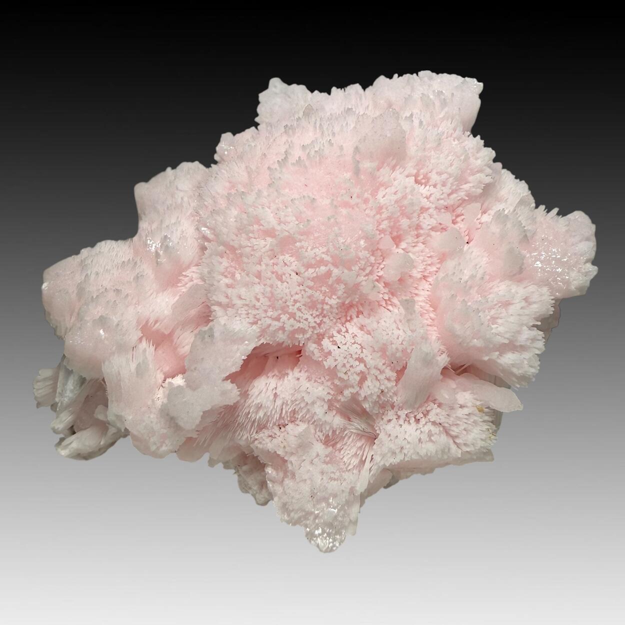 Manganoan Calcite With Kutnohorite
