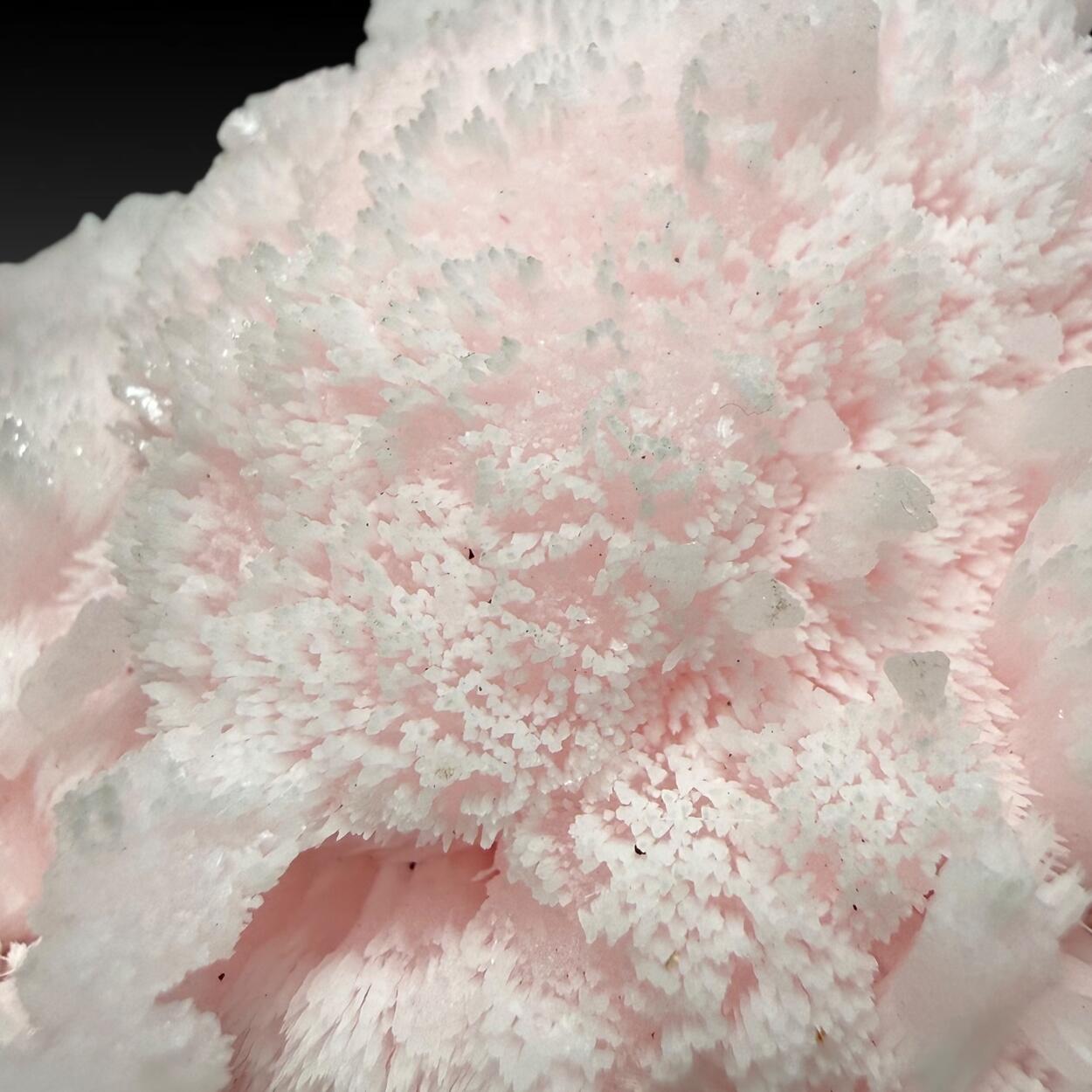 Manganoan Calcite With Kutnohorite