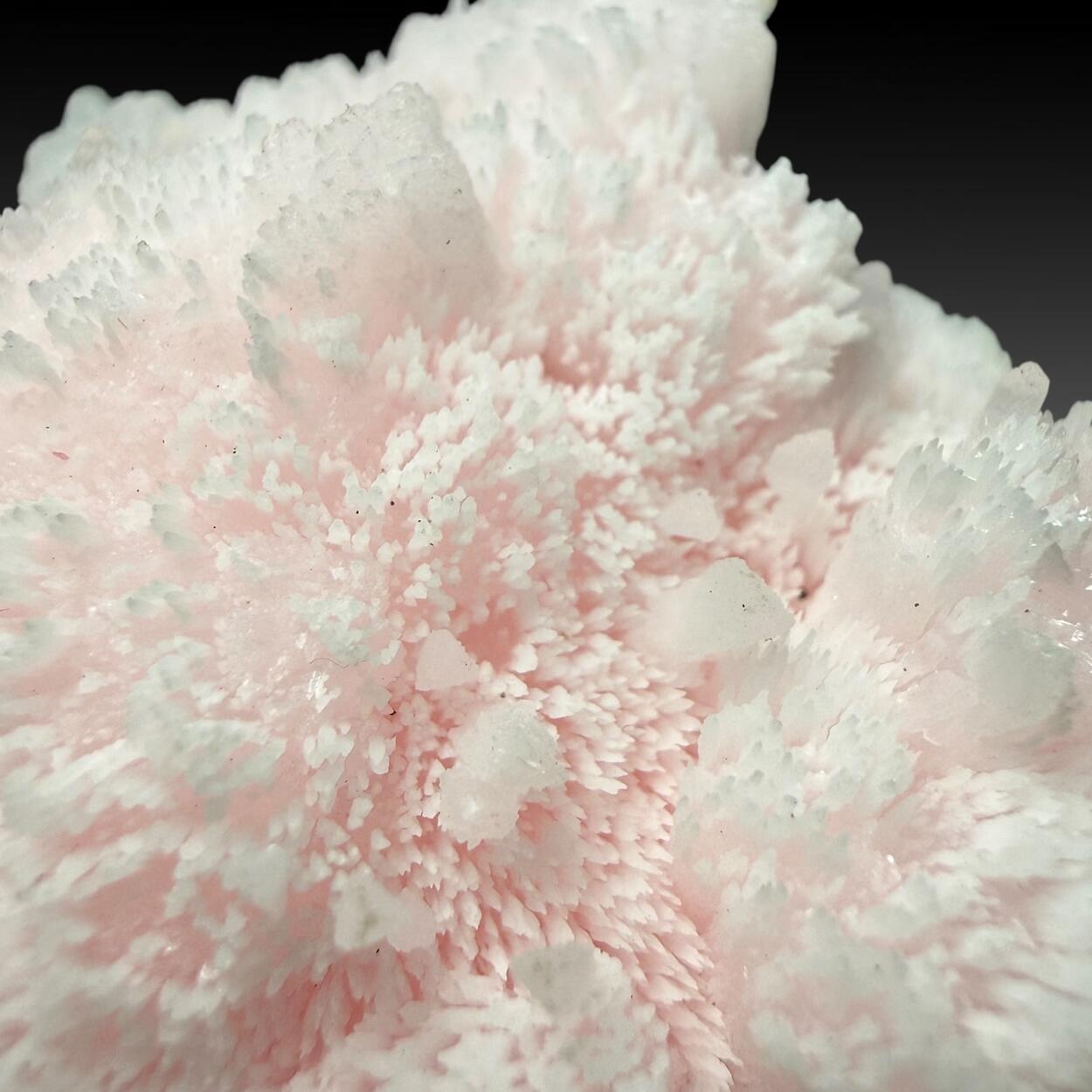 Manganoan Calcite With Kutnohorite