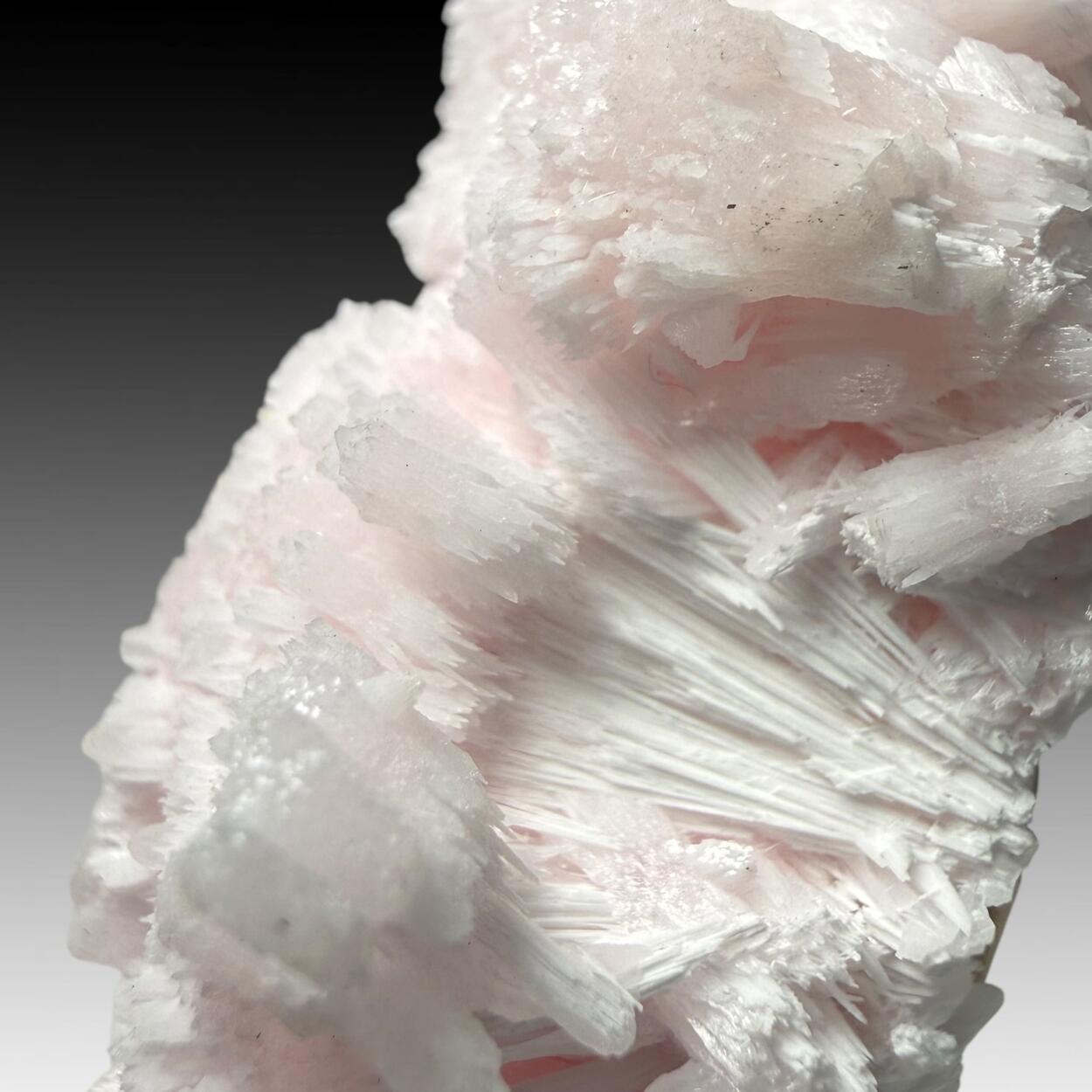 Manganoan Calcite With Kutnohorite