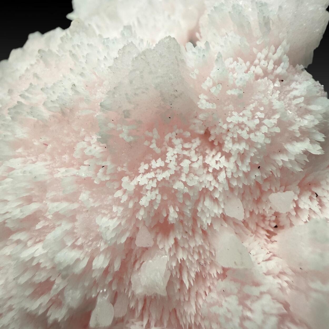 Manganoan Calcite With Kutnohorite