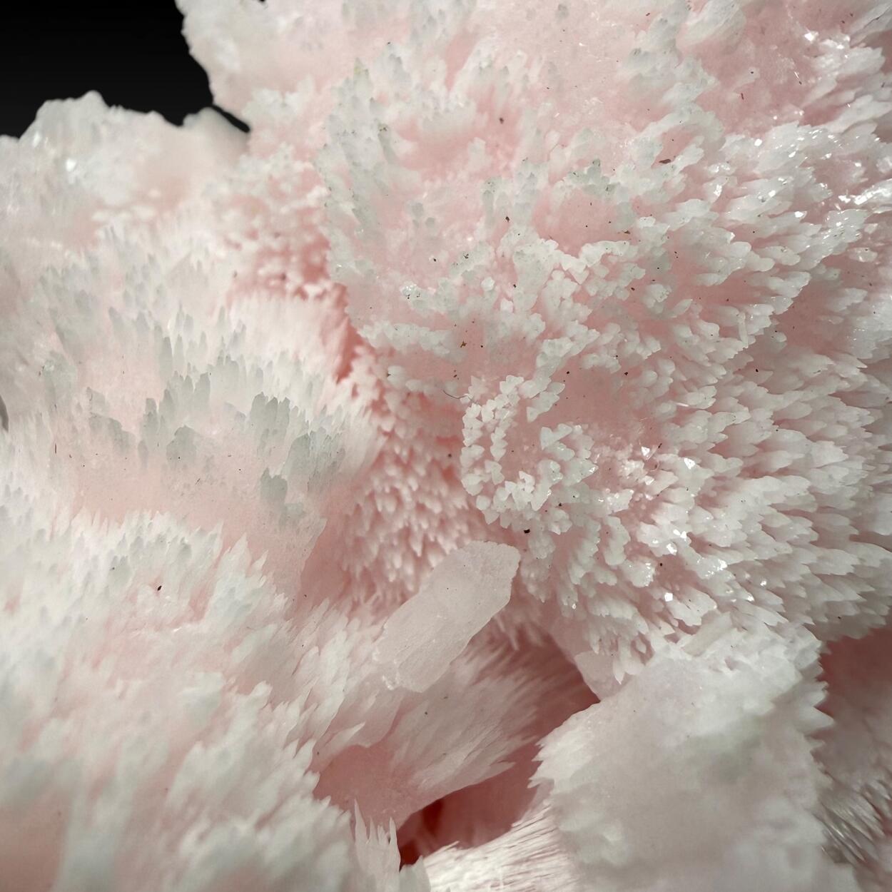 Manganoan Calcite With Kutnohorite