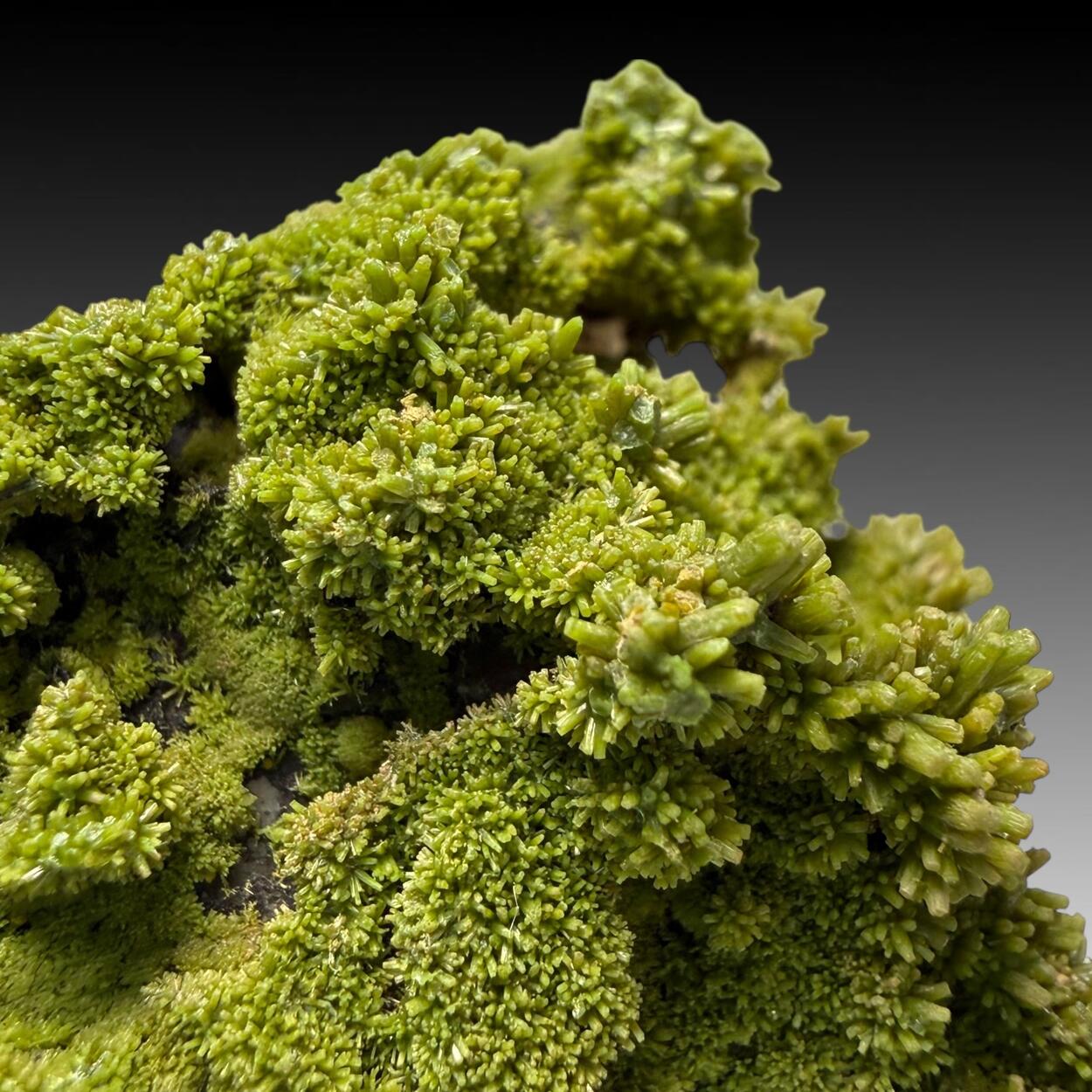 Pyromorphite