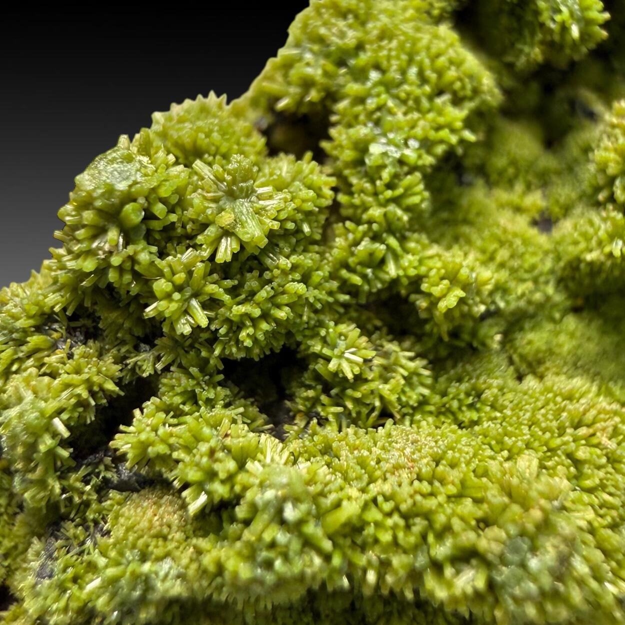 Pyromorphite