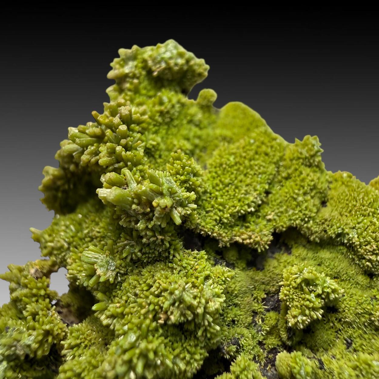 Pyromorphite