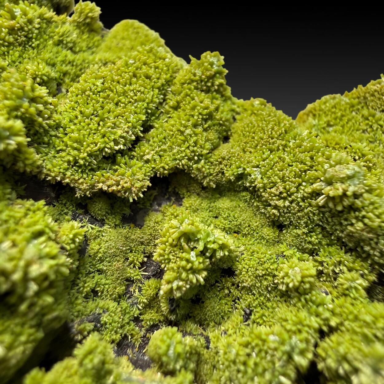 Pyromorphite