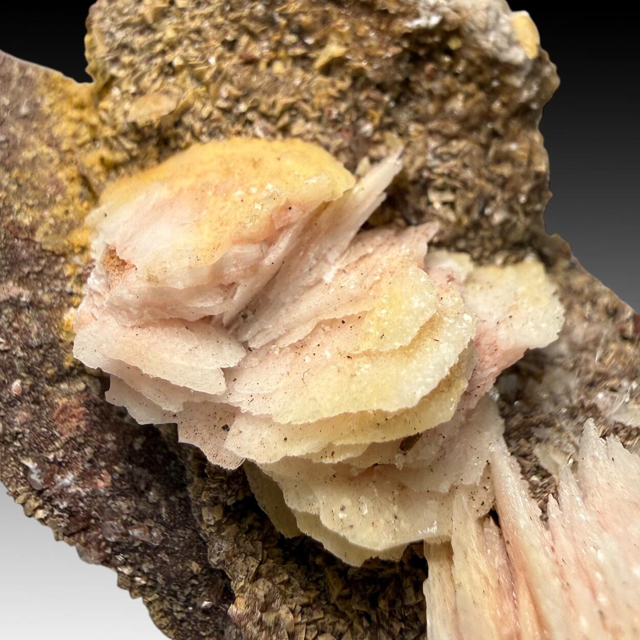Baryte & Calcite