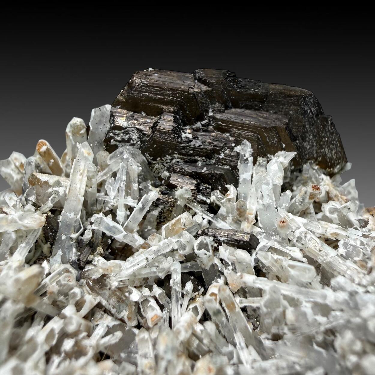 Pyrrhotite & Quartz