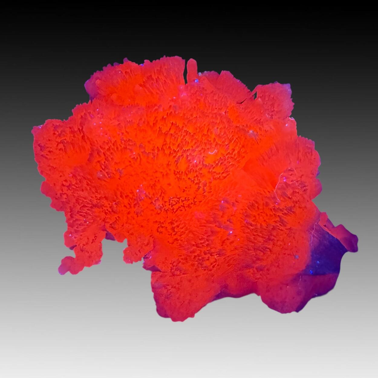 Manganoan Calcite With Kutnohorite