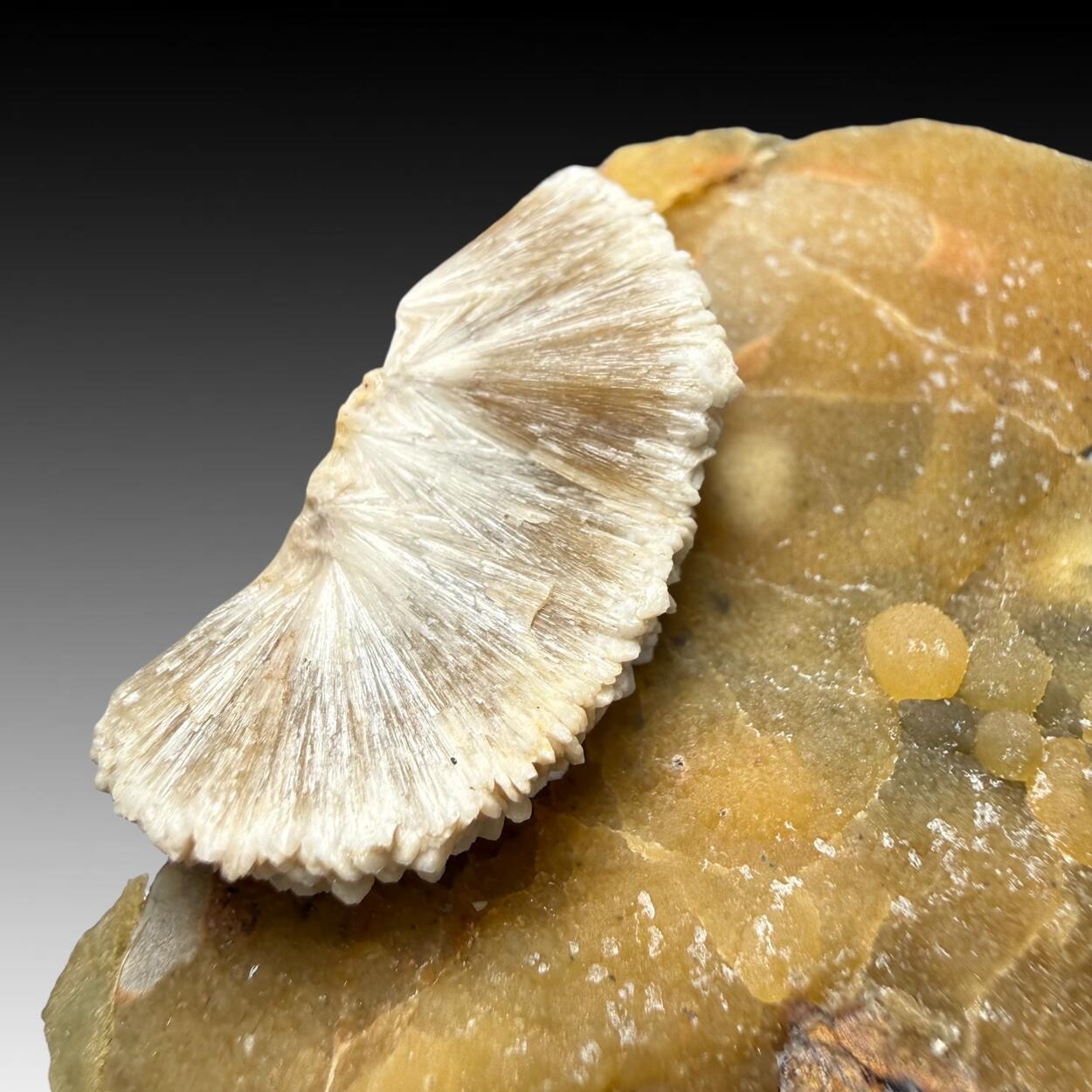 Baryte
