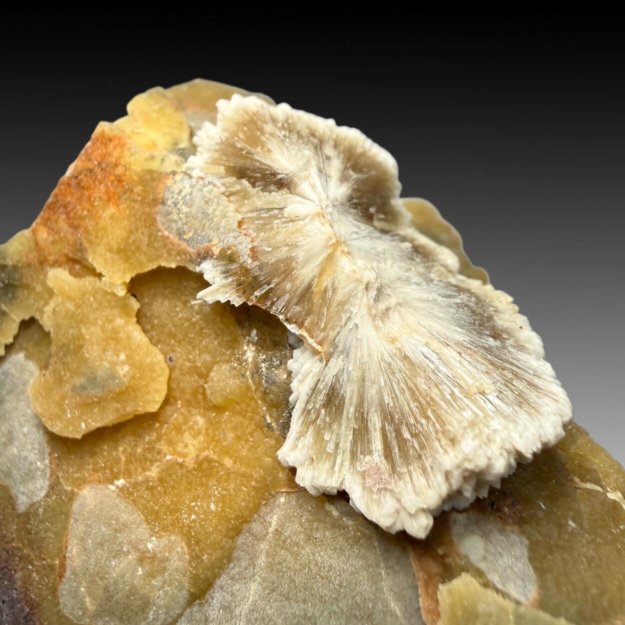 Baryte