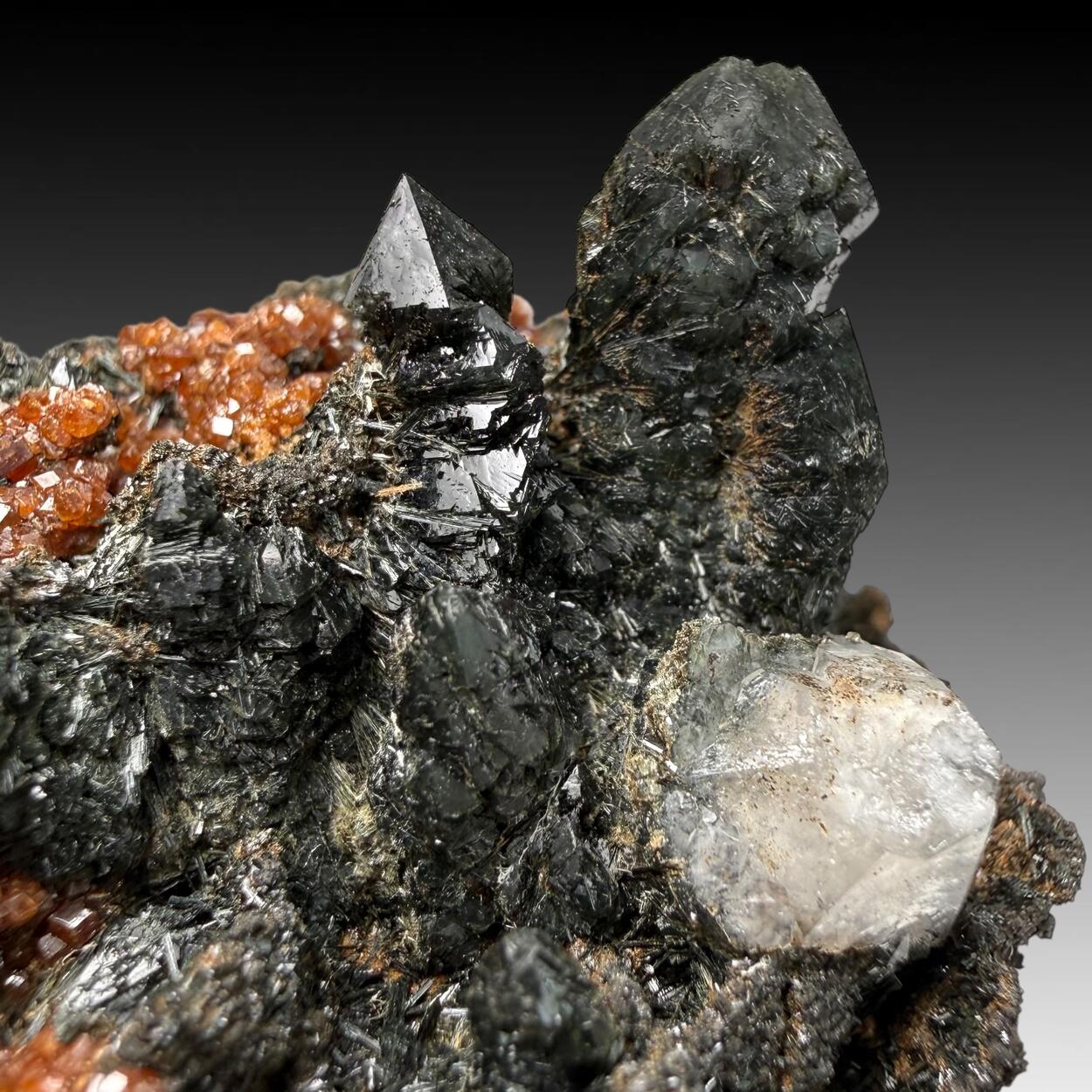 Prase On Andradite