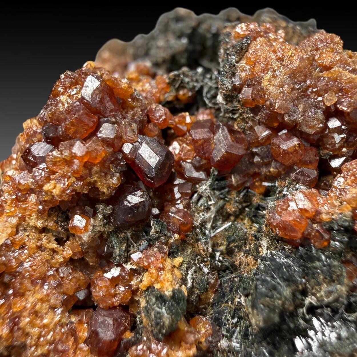 Prase On Andradite