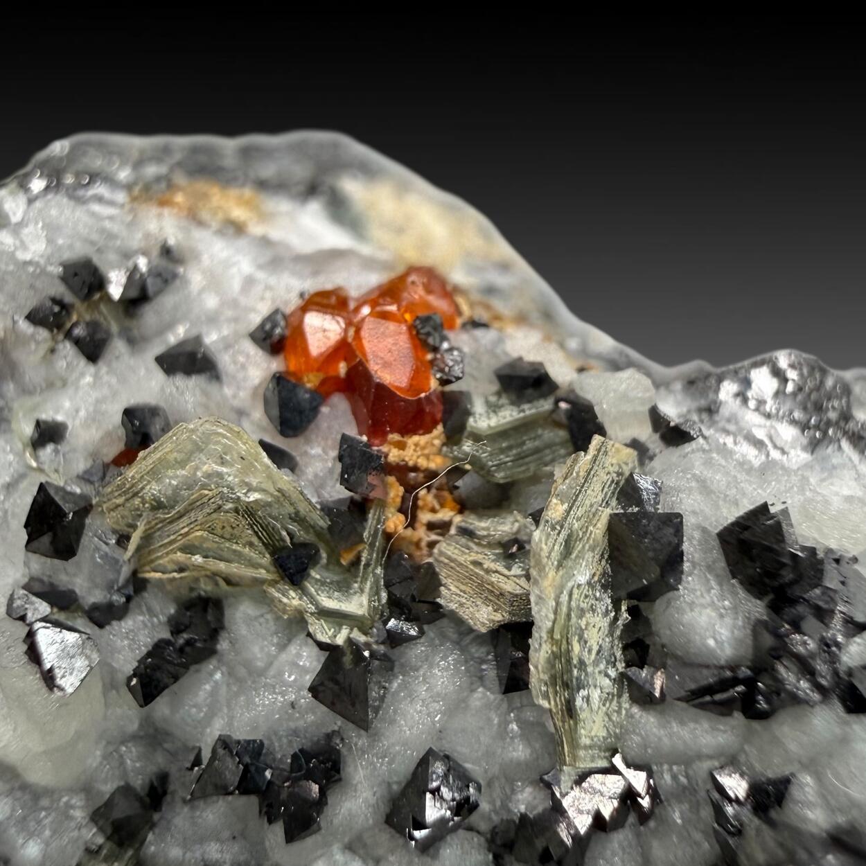 Magnetite With Chondrodite Calcite & Clinochlore