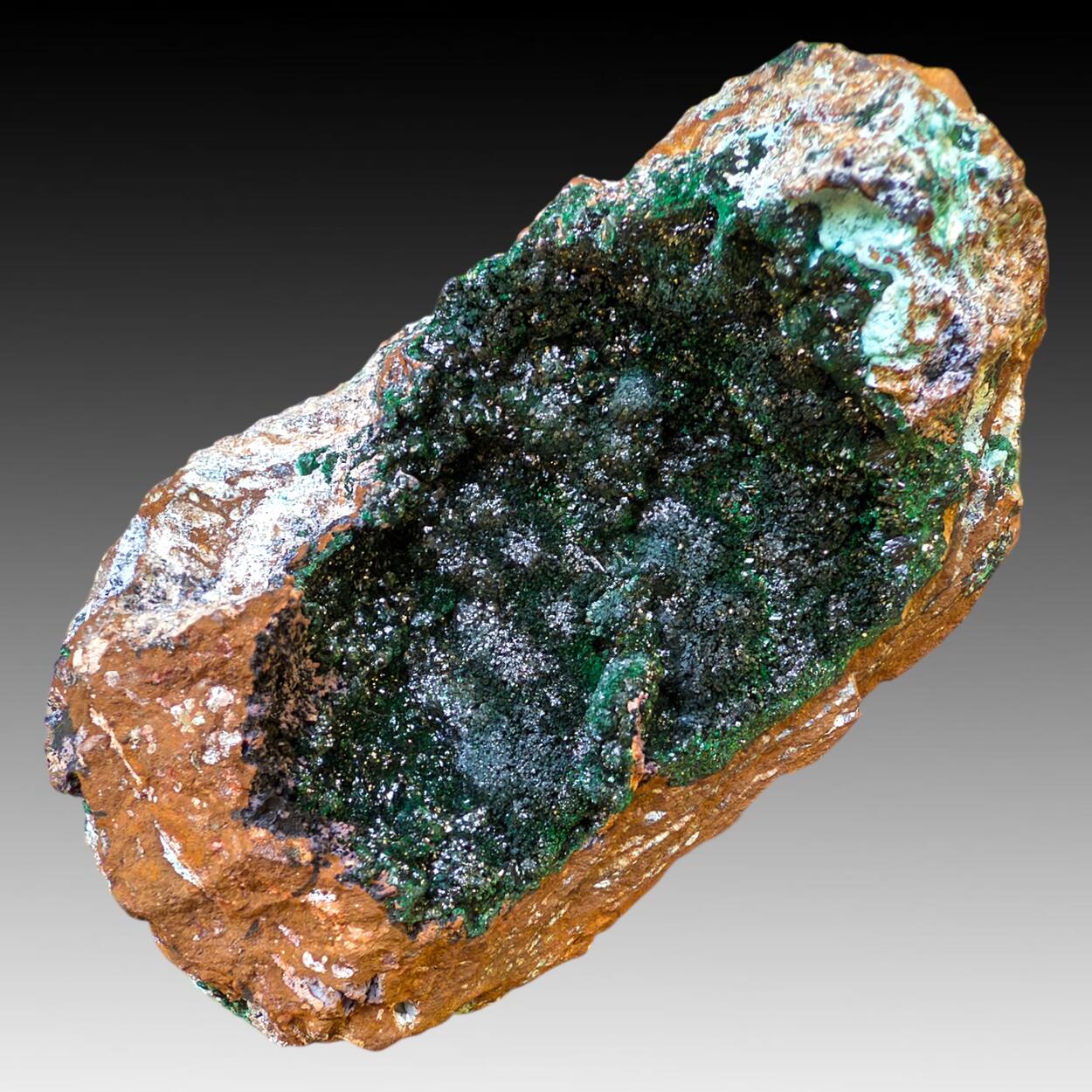 Malachite With Chrysocolla