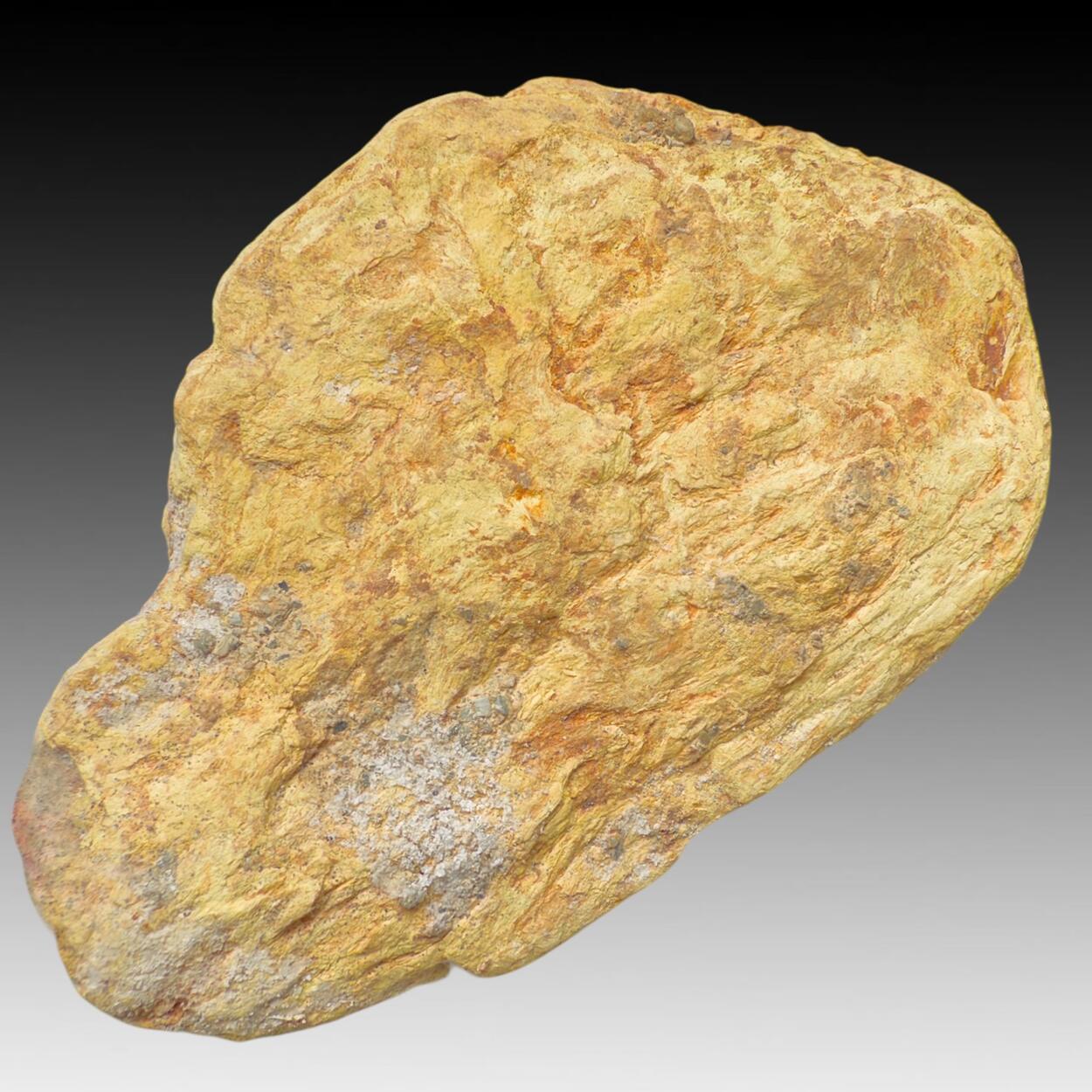 Bindheimite