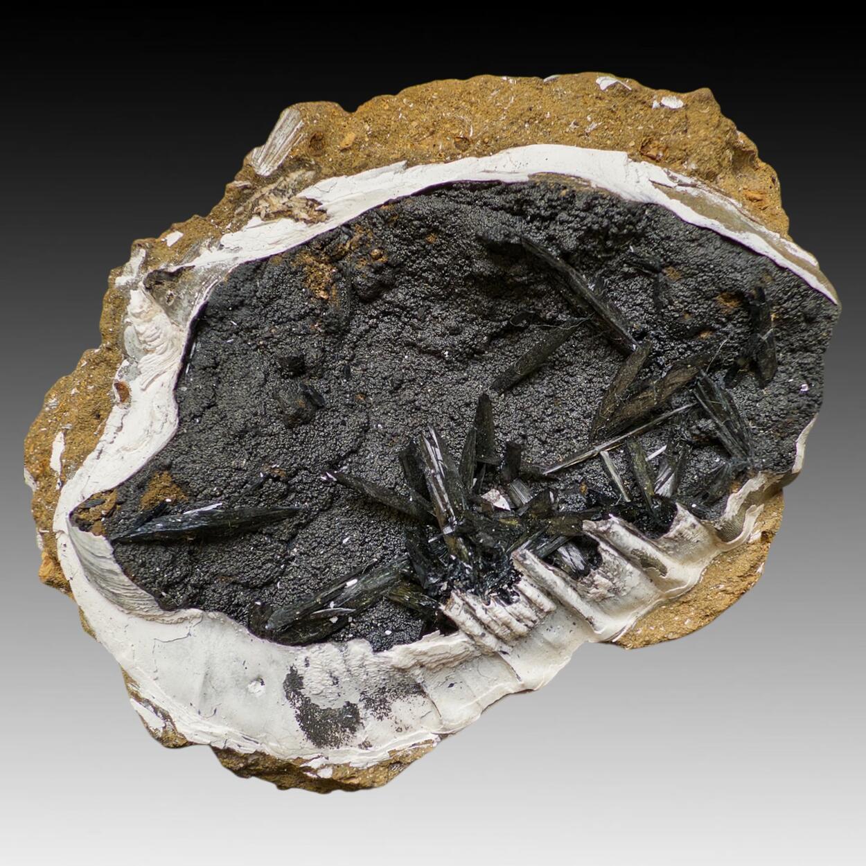 Vivianite