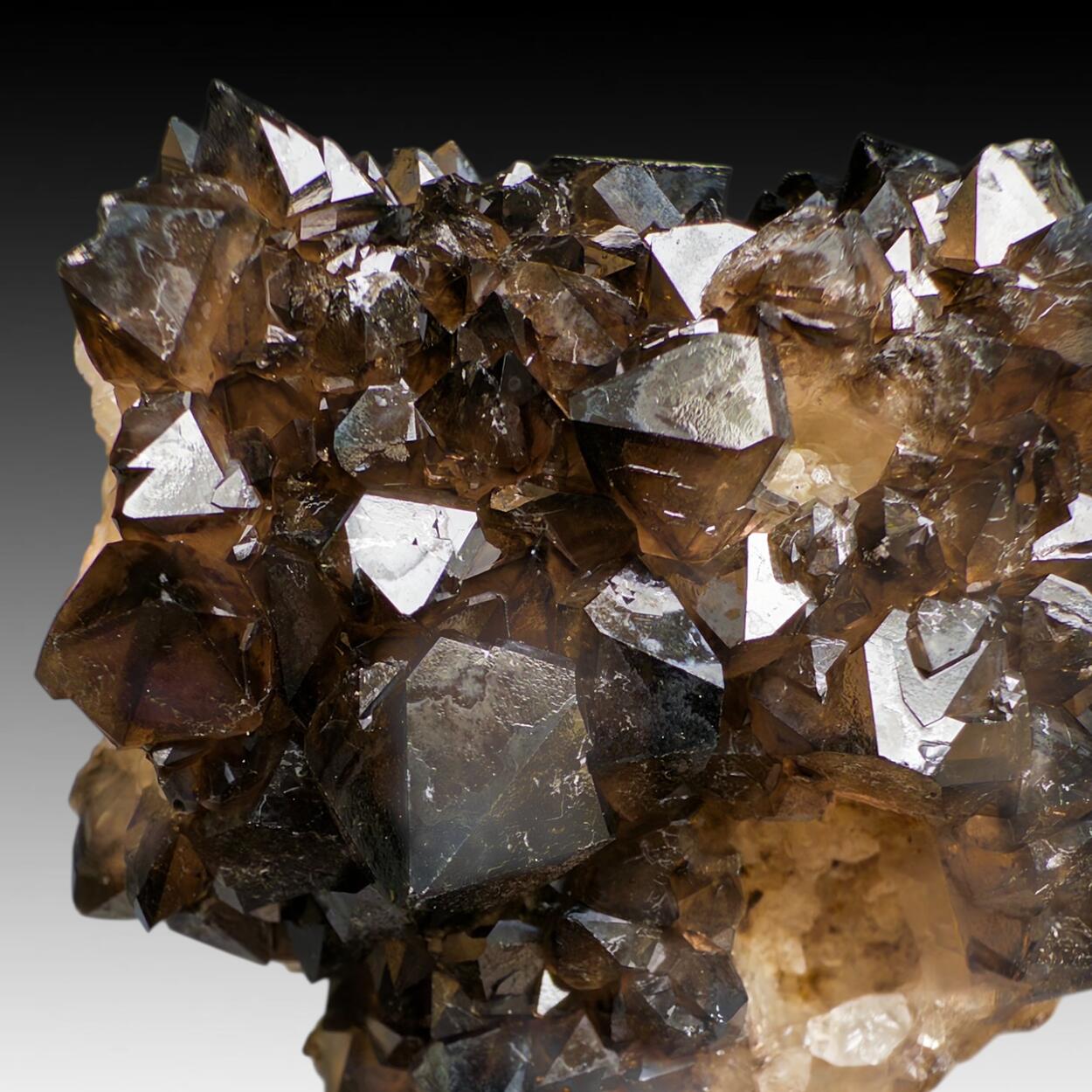 Smoky Quartz