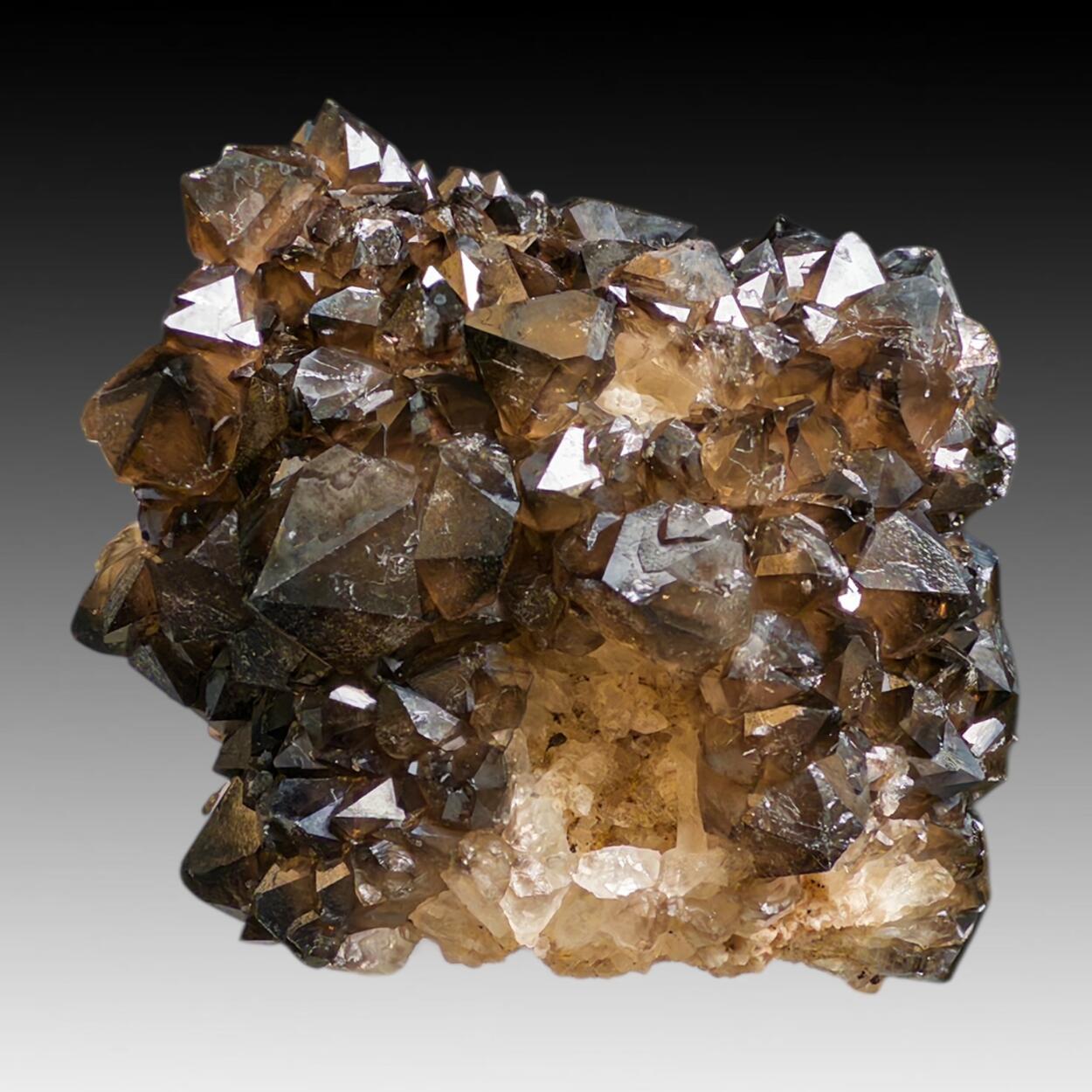 Smoky Quartz