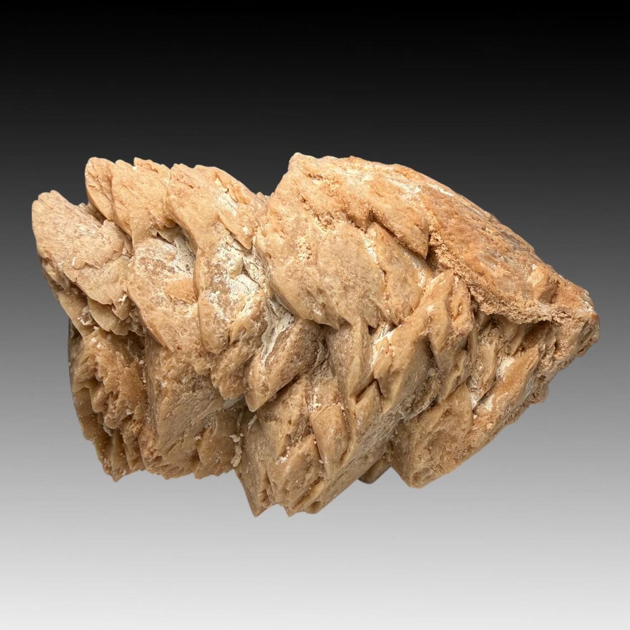 Gypsum