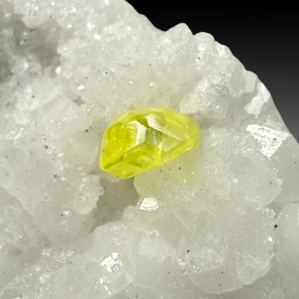 Native Sulphur