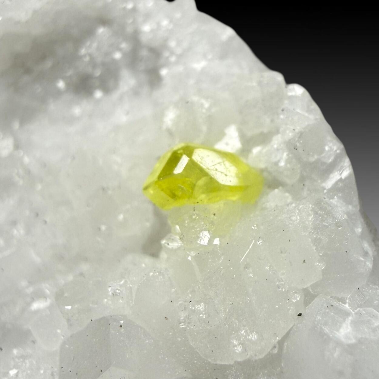 Native Sulphur