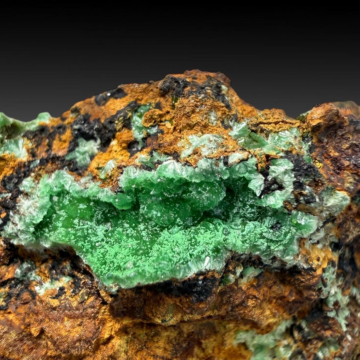 Annabergite