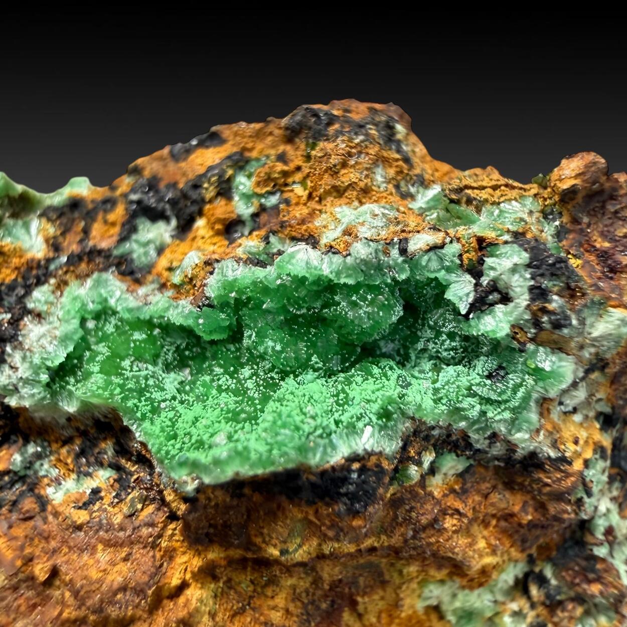 Annabergite