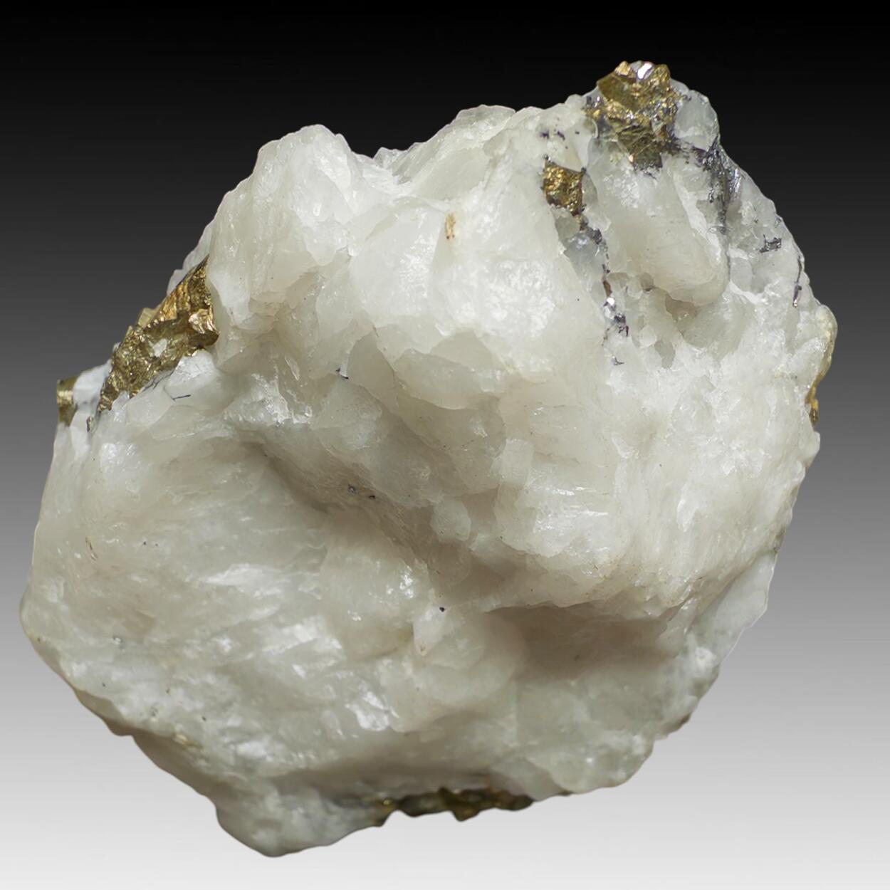 Cosalite & Pyrite