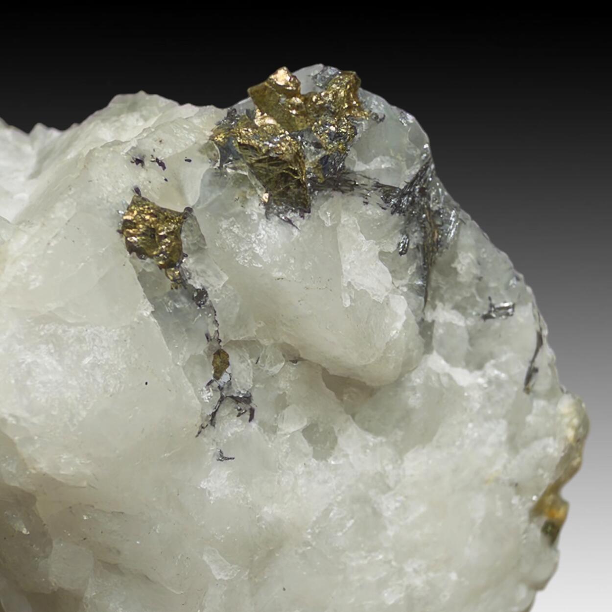 Cosalite & Pyrite
