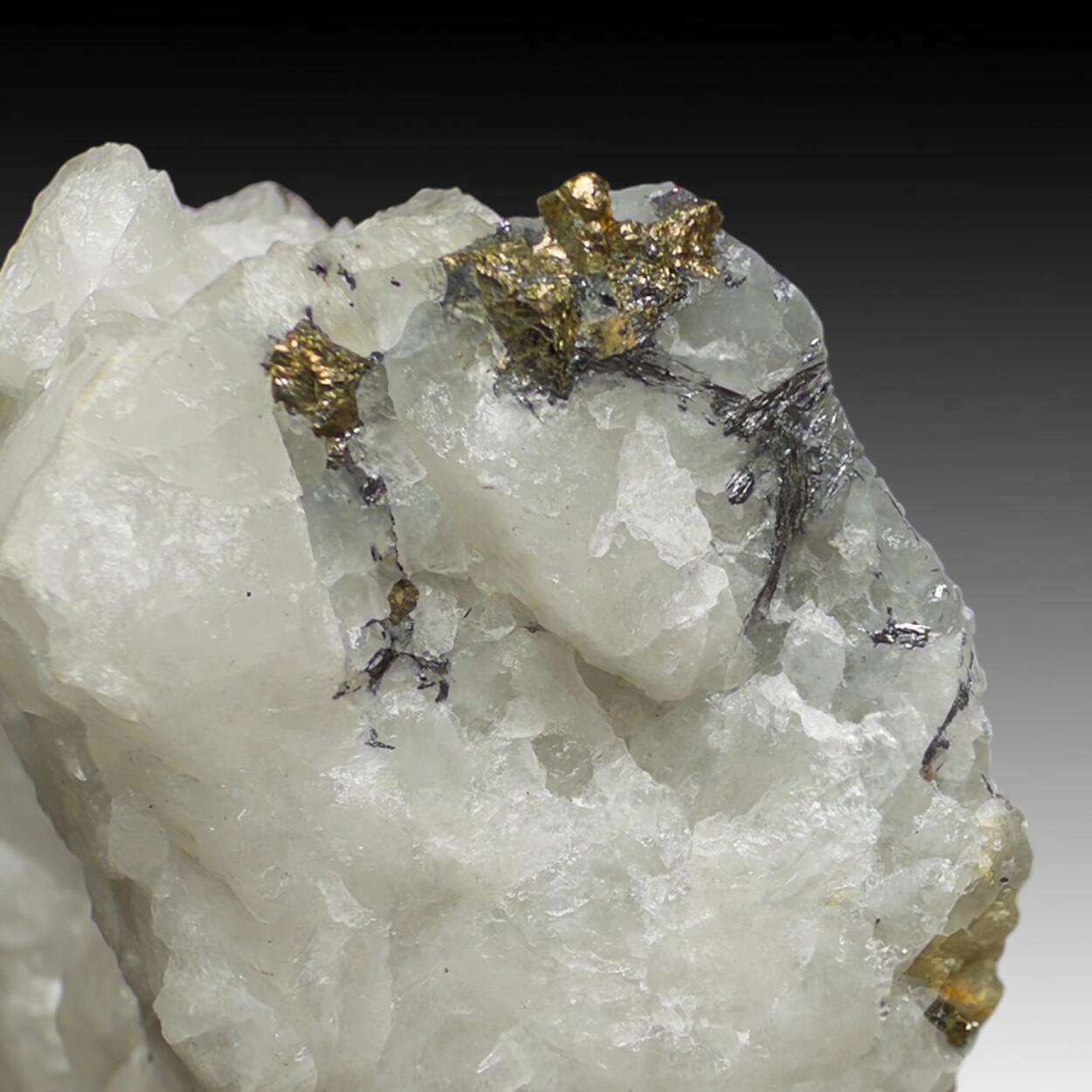 Cosalite & Pyrite