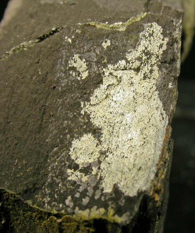 Ferristrunzite & Beraunite