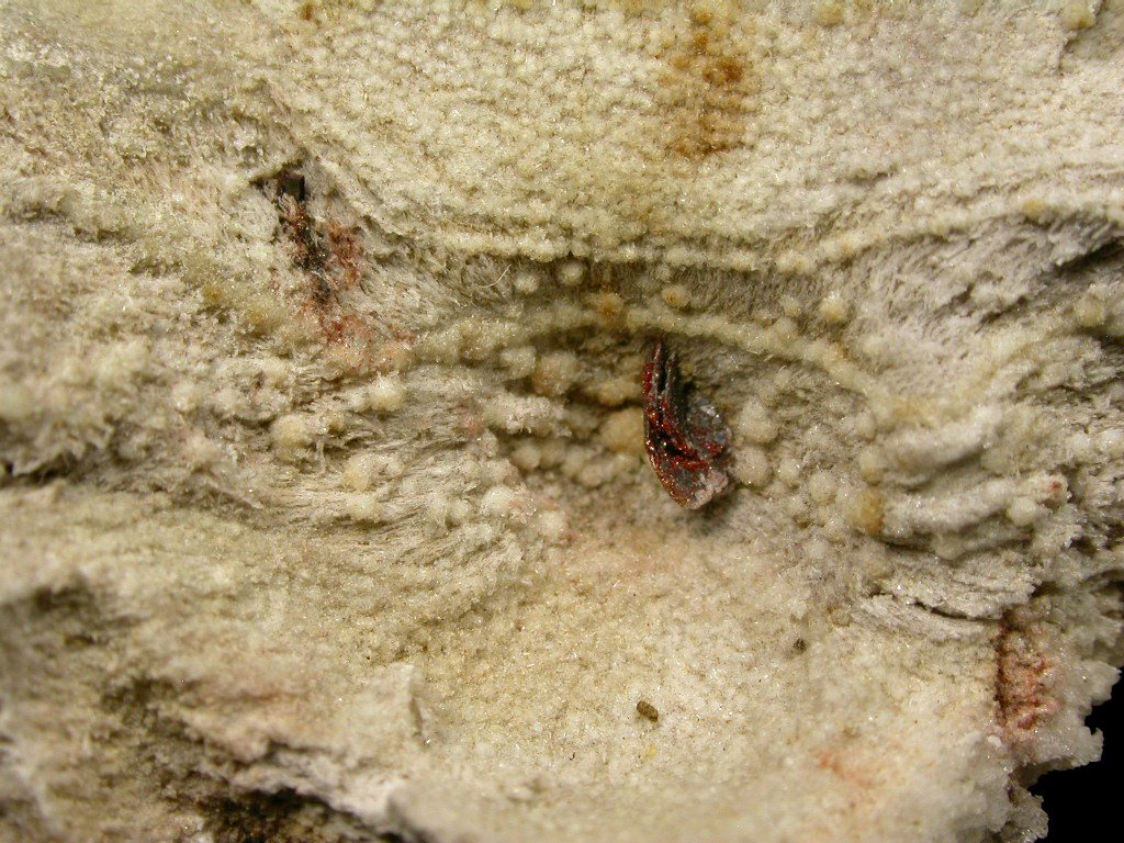 Fayalite & Cristobalite