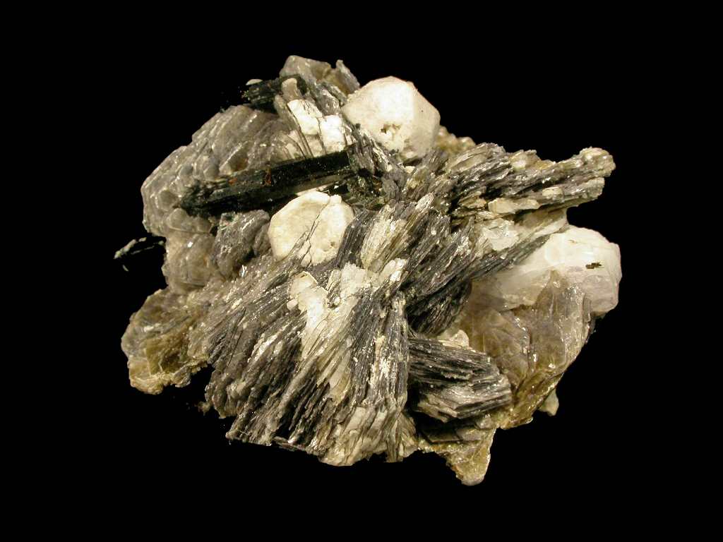 Muscovite