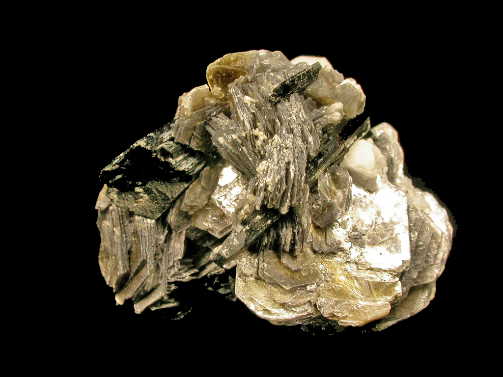 Muscovite