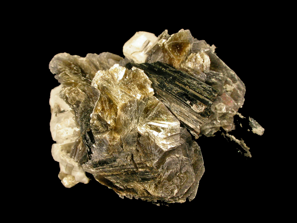 Muscovite