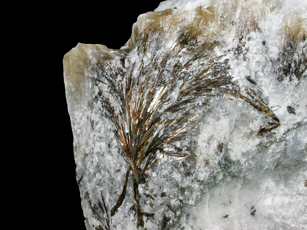 Astrophyllite