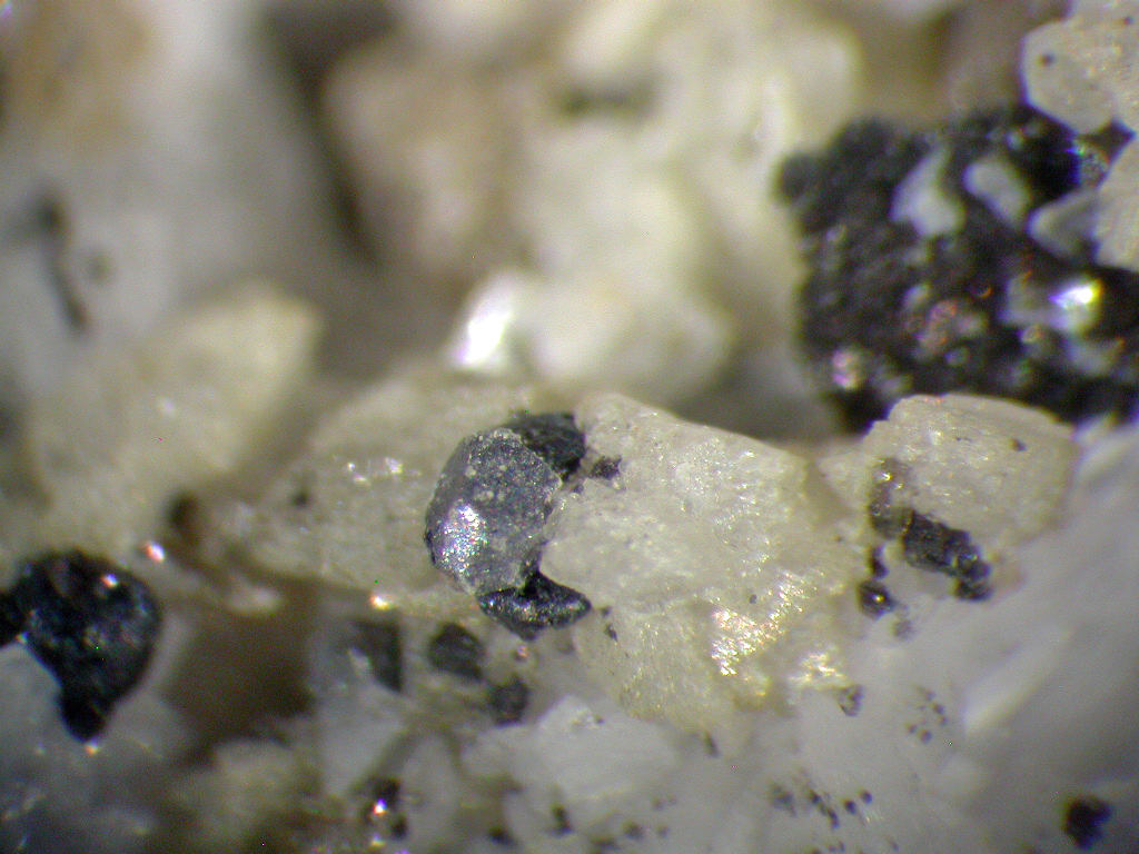 Albite Ankerite & Galena