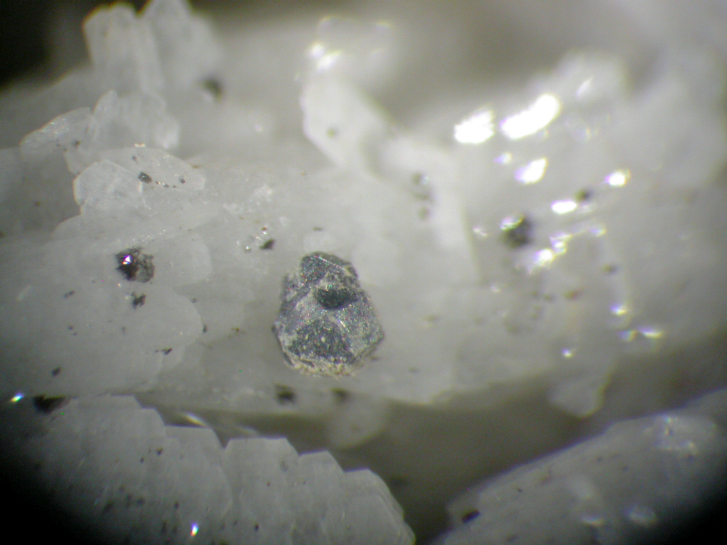 Albite Ankerite & Galena