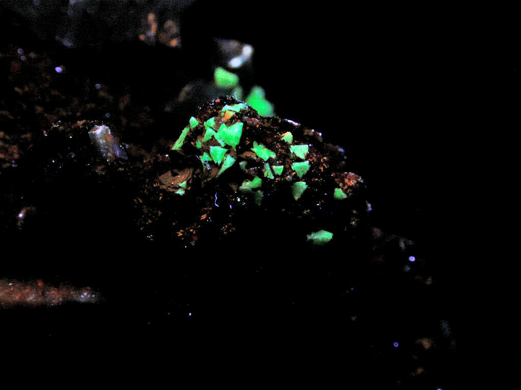 Eudidymite & Genthelvite