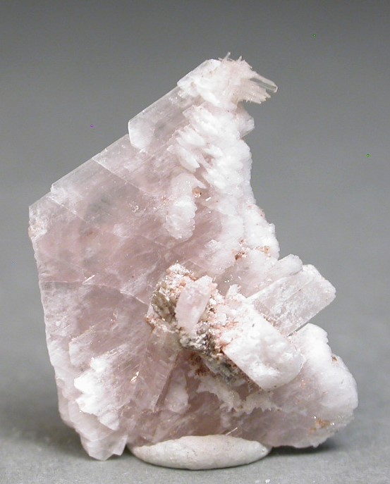 Behoite & Alicewilsonite-(YCe)