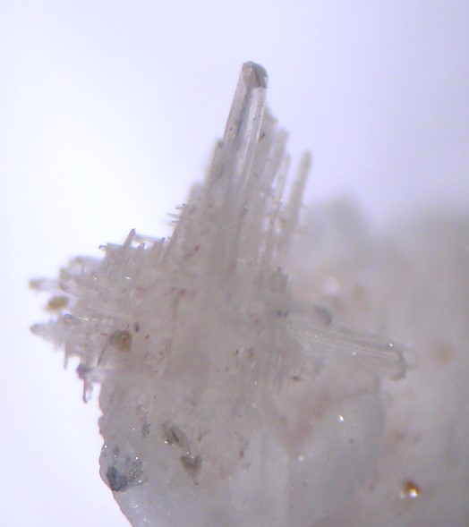 Behoite & Alicewilsonite-(YCe)