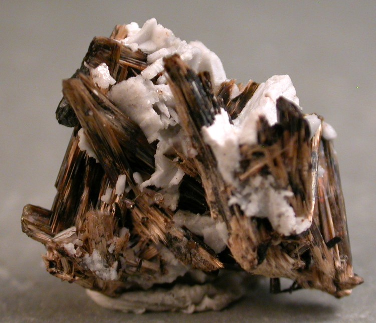 Astrophyllite