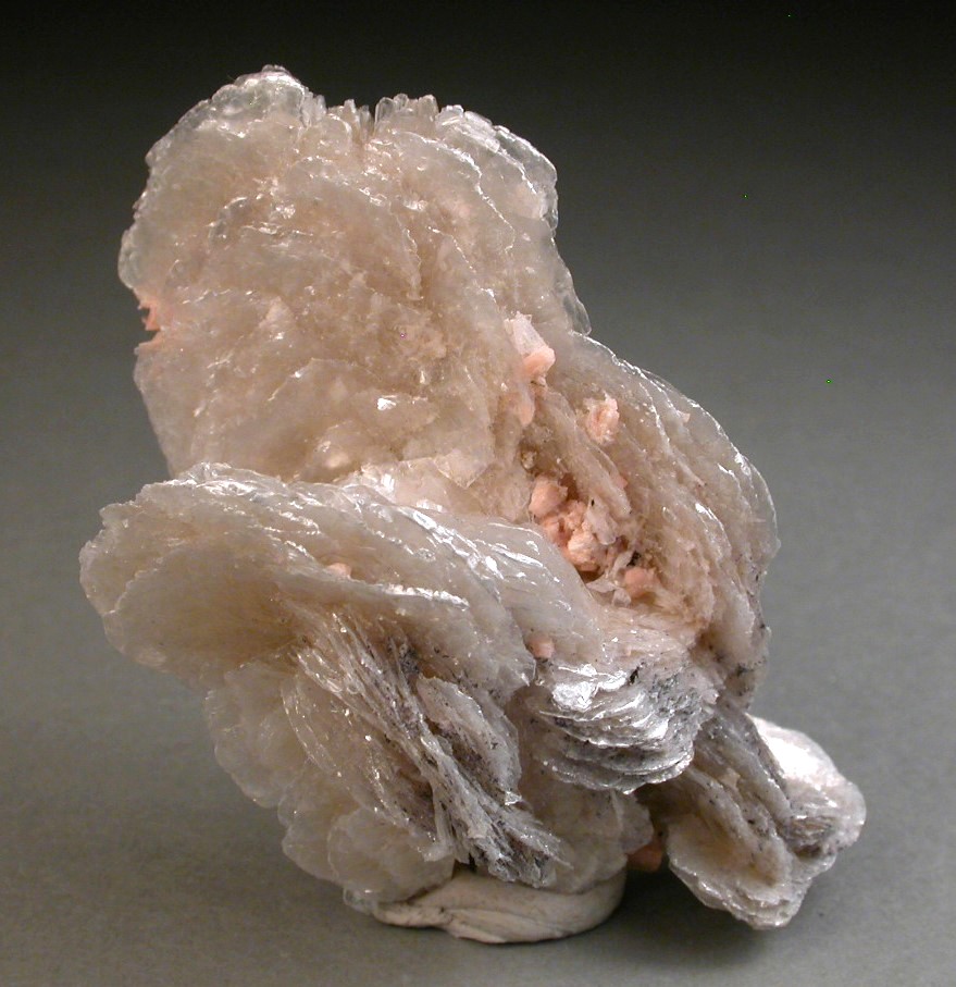 Polylithionite