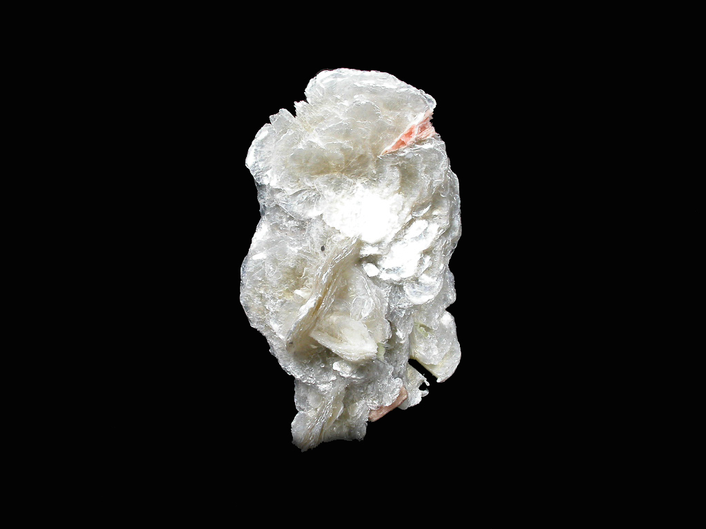 Polylithionite