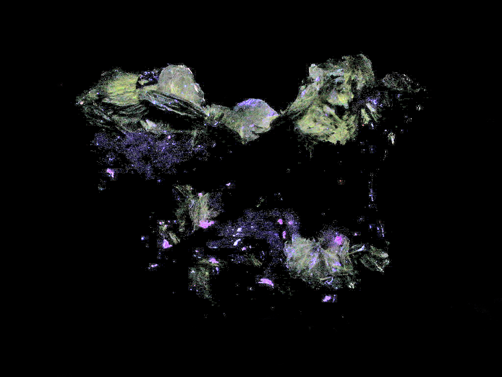 Schizolite Polylithionite & Leucophanite