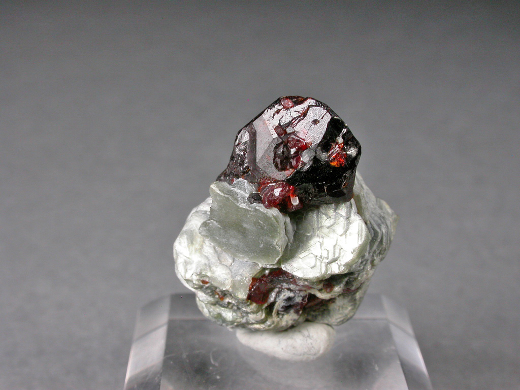 Chondrodite & Muscovite