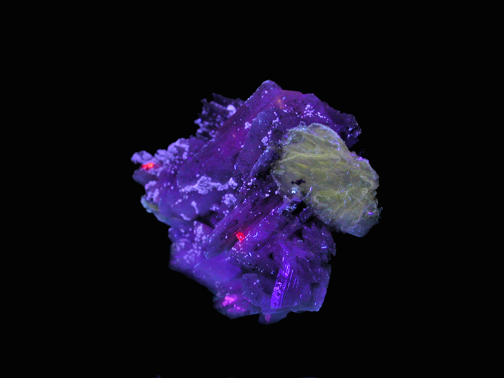 Albite & Polylithionite