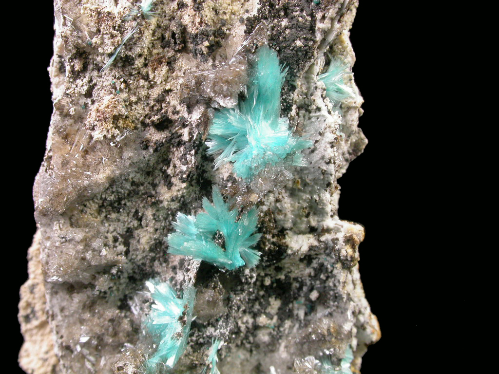 Aurichalcite & Hemimorphite